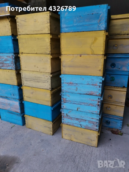 Пчелни кошери, снимка 1