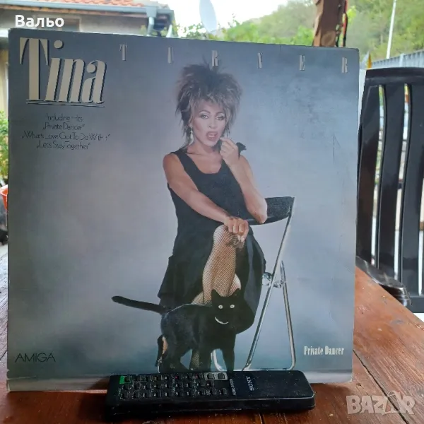 TINA TURNER-Prvate dancer, снимка 1