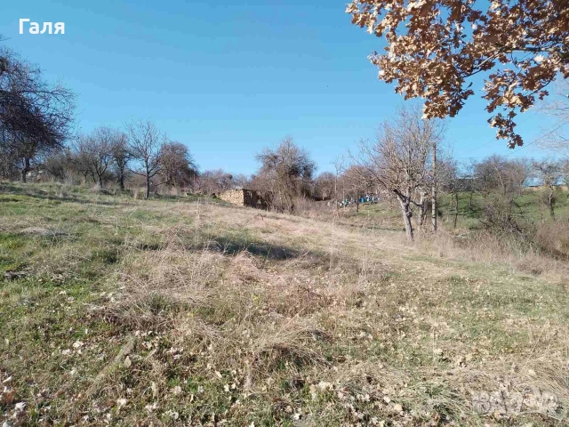 продавам парцел с. Прибой обл. Перник , снимка 2 - Парцели - 53838532