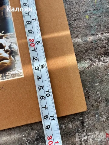 Фотография с паспарту на американския фотограф Артур Кендрик, снимка 5 - Антикварни и старинни предмети - 49977617