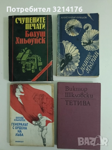 Сините мълнии - Александър Кулешов