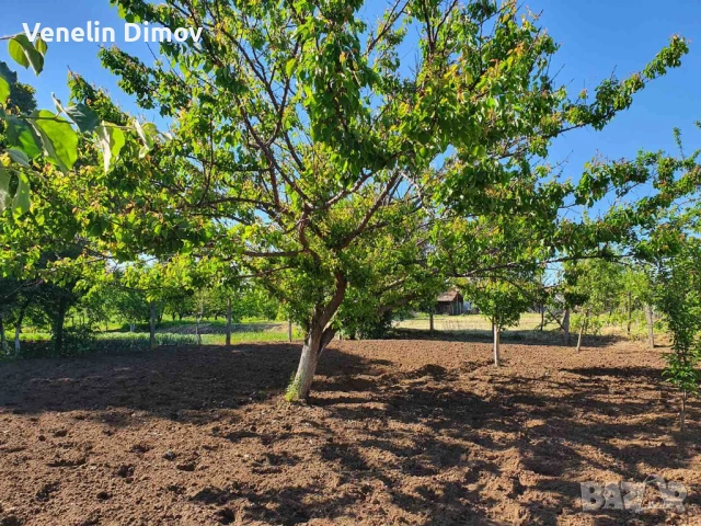 Къща и стопански постройки до Велико Търново , снимка 10 - Къщи - 54141642