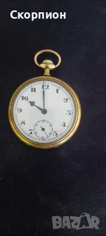 Швейцарски джобен часовник - 10 РУБИНА - ПРОМОЦИЯ, снимка 17 - Джобни - 48554694