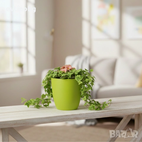 Саксия с поливна система Ø18×H16 см - за здрава коренова система, снимка 6 - Стайни растения - 53776670