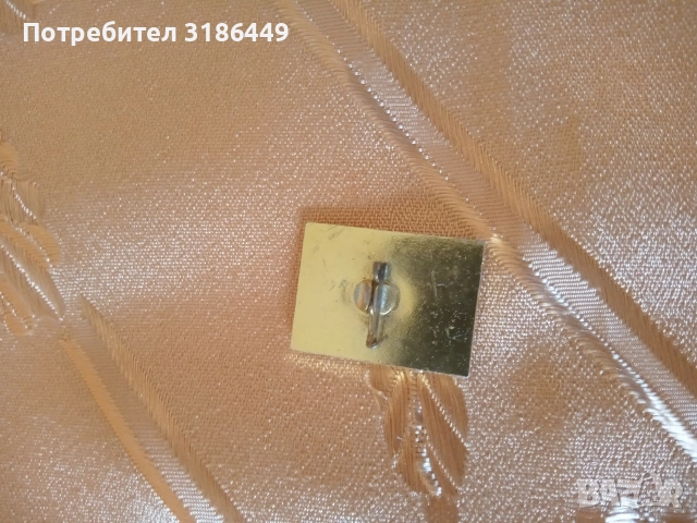 Значка от 35- ти конгрес на БЗНС , снимка 3 - Други ценни предмети - 52925021