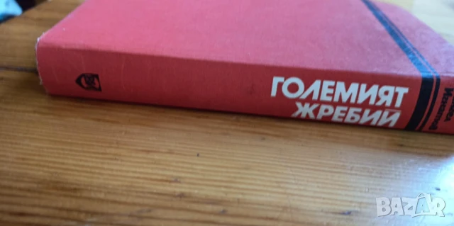 Големият жребий - Рангел Игнатов, снимка 6 - Българска литература - 51238086