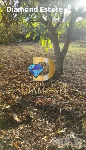 Едноетажна къща в град Симеоновград, снимка 7 - Къщи - 51497083