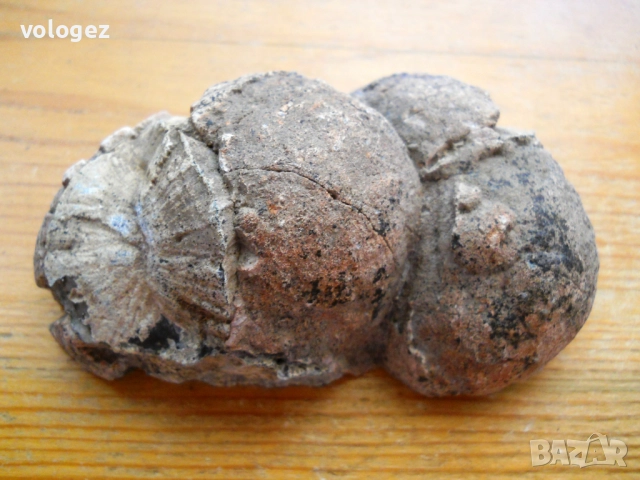 полускъпоценни минерали, снимка 3 - Колекции - 49420597