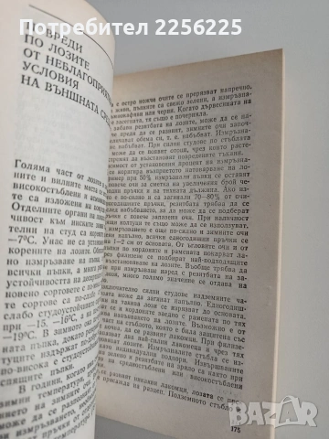 Производство на десертно грозде, снимка 5 - Специализирана литература - 53443430