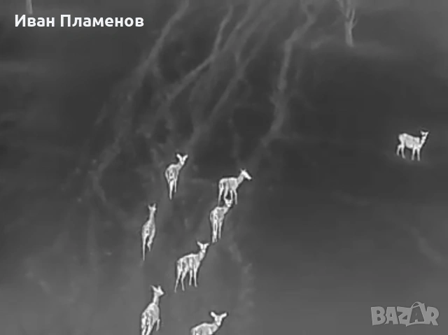 Услуги с термален термо дрон за нощно виждане ФЕЦ SAR Издирване на Хора Засичане Спасяване, снимка 13 - Други услуги - 53813380