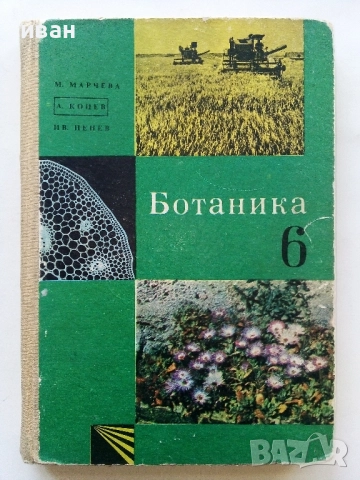 Ботаника за 6.клас - М.Марчева,А.Коцев,И.Пенев - 1969г.