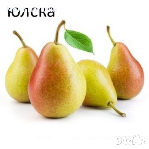 Круши специална селекция, снимка 3 - Градински цветя и растения - 53618931