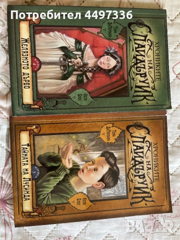 7 детски и тийн книги - „Тайната градина", „Двойната Лотхен", „Дневникът на един Дръндьо" и още!, снимка 2 - Детски книжки - 51511259