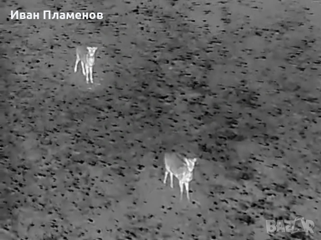 Услуги с термален термо дрон за нощно виждане ФЕЦ SAR Издирване на Хора Засичане Спасяване, снимка 6 - Други услуги - 53813380