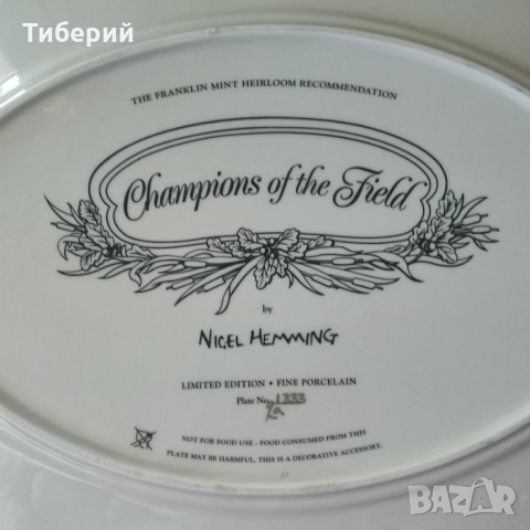 Порцеланова декоративна чиния/плато Заявено!, снимка 2 - Чинии - 51957832