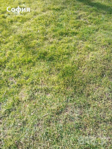 3/три декара Пчелински минерални бани , снимка 5 - Парцели - 53777368