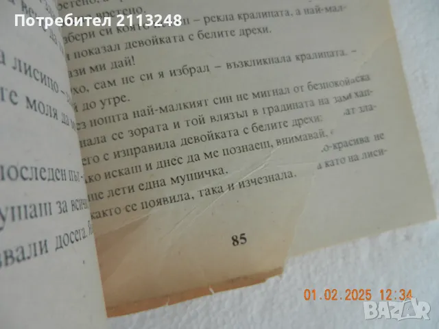 Приказки от Полша, Чехия и Словакия: Омагьосаното дърво, снимка 2 - Детски книжки - 49363627