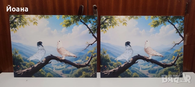 Пвц пана 5мм дебелина за декорация у дома със закачалка без пробиване, снимка 10 - Пана - 52386550