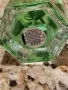 Оригинален парфюм Gucci Flora Gracious Tubereuse 100 ml EDT , снимка 2