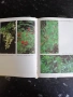 Билките в България и използването им , снимка 3