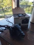 Canon EOS 1300D, снимка 2