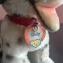 Колекционерска мека играчка Steiff Dalmatian Puppy Dog Dolly 10 см, снимка 12