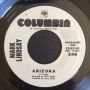 Грамофонни плочи Mark Lindsay ‎– Arizona / Miss America 7" сингъл, снимка 1 - Грамофонни плочи - 45536345