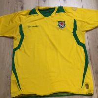 Тениска на Уелс Чемпиън, снимка 1 - Спортни дрехи, екипи - 45317835