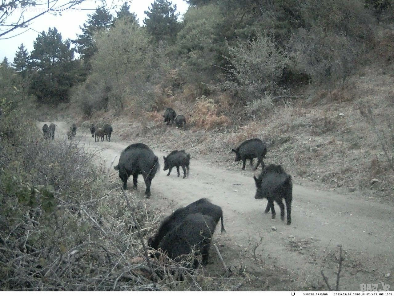 Продавам, снимка 1