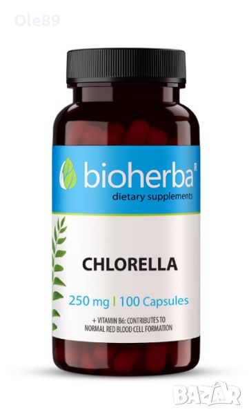 CHLORELLA, 100 капсули, 250мг, Биохерба, снимка 1