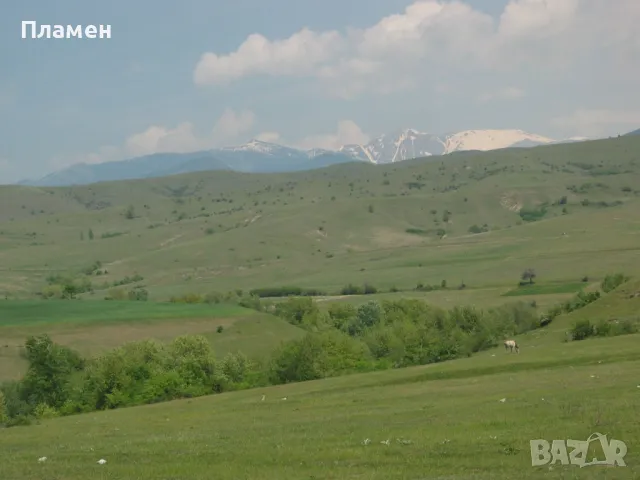 Парцел в с. Ласкарево, обл. Благоевград, снимка 4 - Парцели - 47266162