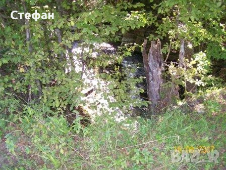 Имот в сърцето на Балкана, снимка 4 - Земеделска земя - 53984006