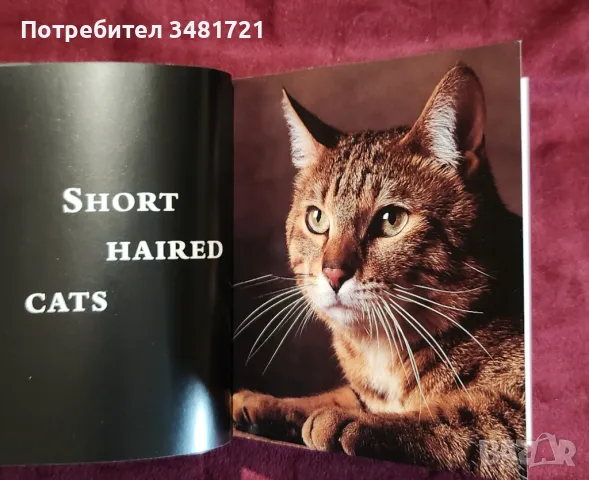 Справочник - котки / Cats, снимка 3 - Енциклопедии, справочници - 48771982