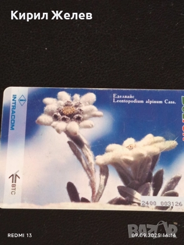 Четири фонокарти БУЛ ФОН, МОБИКОМ тема ЦВЕТЯ много красиви за КОЛЕКЦИЯ ДЕКОРАЦИЯ 50847, снимка 7 - Колекции - 51655605