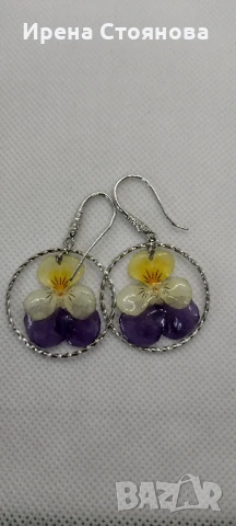 Обеци с естествен цвят на мини градинска теменужка. 