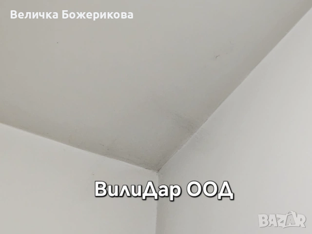 Почистване на вход, снимка 6 - Почистване на входове - 53445390