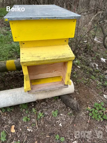 пчелни кошери, снимка 4 - Други животни - 47840160