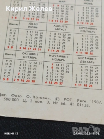 Старо календарче серия ЖИВОТНИ КУЧЕТА 88г. Рига Латвия за КОЛЕКЦИЯ 11191, снимка 5 - Колекции - 51217475