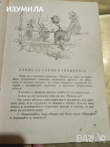 Горски приказки - Оксана Иваненко, снимка 4 - Детски книжки - 53329307