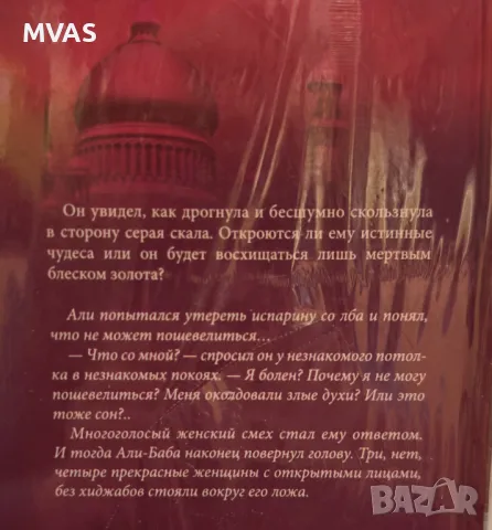 Али Баба и 40-те разбойнички Еротичен любовен роман, снимка 2 - Художествена литература - 49325612