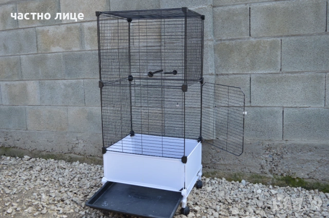 папагал монах, снимка 7 - Папагали - 53958481