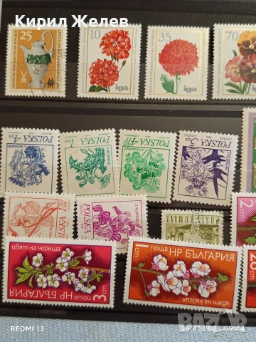 Стари пощенски марки от цял свят смесени ЦВЕТЯ за КОЛЕКЦИЯ ДЕКОРАЦИЯ 52116, снимка 2 - Филателия - 53217789