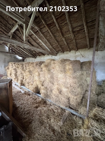 Продавам бали, снимка 2 - За селскостопански - 53380580