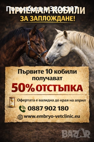 Приемам кобили за заплождане.Всички здравословни проблеми при конете.