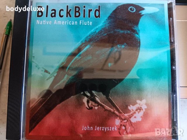  аудио CD-R дискове , снимка 6 - CD дискове - 18005274