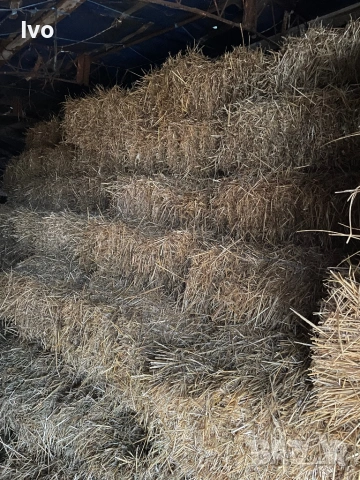 Слама малки и ролонни бали, снимка 8 - За селскостопански - 53711648