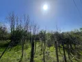 Парцел 557 кв.м. в Казанлък Вилна Зона ”Старите лозя” зад Художествената Гимназия, снимка 4