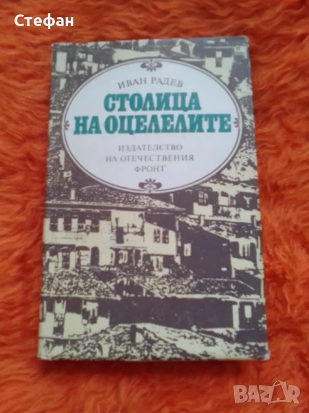 Столица на оцелелите, Иван Радев, снимка 1