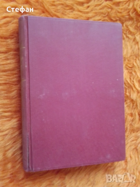 Падаревски,, снимка 1