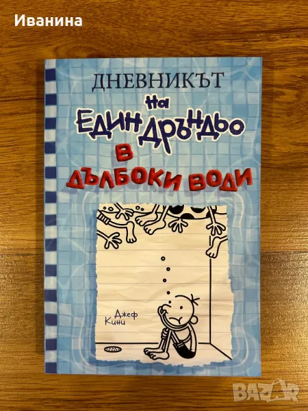 Дневникът на един дръндьо Книга 15: В дълбоки води, снимка 1